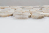 12X12 Flat Fiji Cream |  Carpet Barn Carpet One Inc.