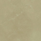 12X12F Pulpis Moca |  Carpet Barn Carpet One Inc.