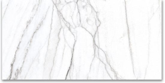 12X24 Matte Glamour White |  Carpet Barn Carpet One Inc.