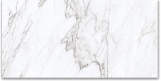 12X24 Matte Glamour White |  Carpet Barn Carpet One Inc.
