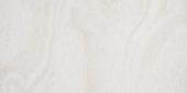 12X24 Soul Ivory |  Carpet Barn Carpet One Inc.