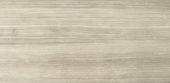 12X24F Clay Polished |  Carpet Barn Carpet One Inc.
