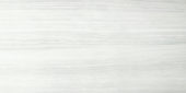 12X24F Ice Polished |  Carpet Barn Carpet One Inc.