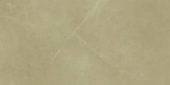 12X24F Pulpis Moca |  Carpet Barn Carpet One Inc.