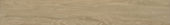  2001-European White Oak |  Carpet Barn Carpet One Inc.
