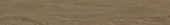 2004-Nutmeg Oak |  Carpet Barn Carpet One Inc.