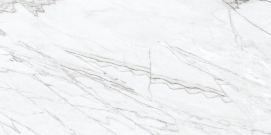 24X48 Matte Glamour White |  Carpet Barn Carpet One Inc.