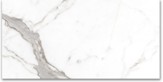 24X48 Polished Amore Grey |  Carpet Barn Carpet One Inc.