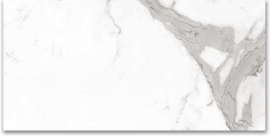 24X48 Polished Amore Grey |  Carpet Barn Carpet One Inc.