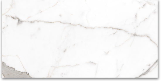 24X48 Polished Amore Grey |  Carpet Barn Carpet One Inc.