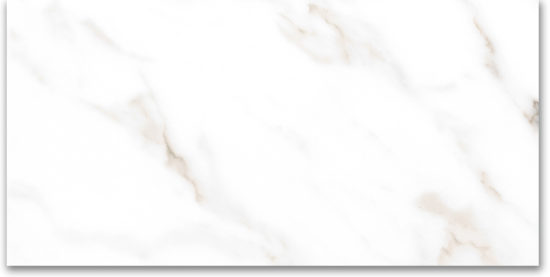 24X48 Polished Amore Grey |  Carpet Barn Carpet One Inc.