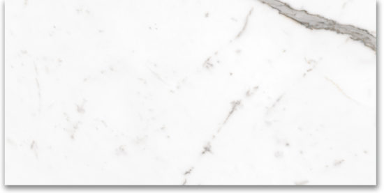 24X48 Polished Amore Grey |  Carpet Barn Carpet One Inc.