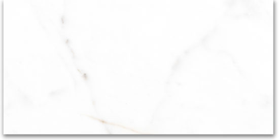 24X48 Polished Amore Grey |  Carpet Barn Carpet One Inc.