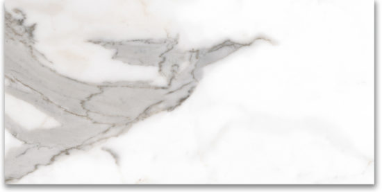 24X48 Polished Amore Grey |  Carpet Barn Carpet One Inc.