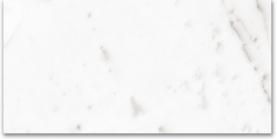 24X48 Polished Amore Grey |  Carpet Barn Carpet One Inc.