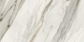 24X48 Polished Crush Gold |  Carpet Barn Carpet One Inc.