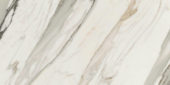 24X48 Polished Crush Gold |  Carpet Barn Carpet One Inc.
