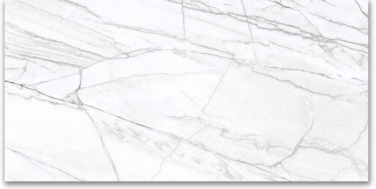 24X48 Polished Glamour White |  Carpet Barn Carpet One Inc.