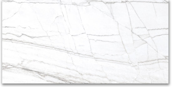 24X48 Polished Glamour White |  Carpet Barn Carpet One Inc.