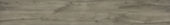 2501-Ash Hickory  |  Carpet Barn Carpet One Inc.