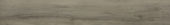 2501-Ash Hickory  |  Carpet Barn Carpet One Inc.