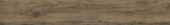 2503-Burnished Hickory |  Carpet Barn Carpet One Inc.