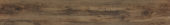 2504-American Hickory |  Carpet Barn Carpet One Inc.