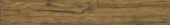 2505-Sangria Hickory |  Carpet Barn Carpet One Inc.