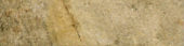 3X12 Beige Bullnose |  Carpet Barn Carpet One Inc.