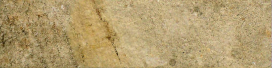3X12 Beige Bullnose |  Carpet Barn Carpet One Inc.