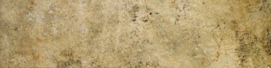 3X12 Beige Bullnose |  Carpet Barn Carpet One Inc.