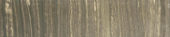 3X12 Polished Natural Bullnose |  Carpet Barn Carpet One Inc.