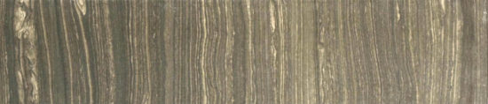 3X12 Polished Natural Bullnose |  Carpet Barn Carpet One Inc.