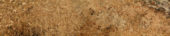 3X14 Rosso |  Carpet Barn Carpet One Inc.