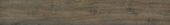 4402-Royal Ash |  Carpet Barn Carpet One Inc.
