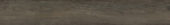 4402-Royal Ash |  Carpet Barn Carpet One Inc.