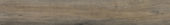 4402-Royal Ash |  Carpet Barn Carpet One Inc.