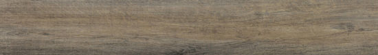 4402-Royal Ash |  Carpet Barn Carpet One Inc.