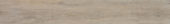 4408-Light Ash |  Carpet Barn Carpet One Inc.