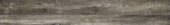 4422-Barnwood Ecru |  Carpet Barn Carpet One Inc.