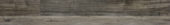 4422-Barnwood Ecru |  Carpet Barn Carpet One Inc.