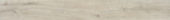 4560-Beachcomber |  Carpet Barn Carpet One Inc.