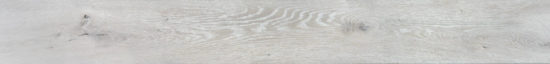 4562-Seashell |  Carpet Barn Carpet One Inc.
