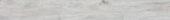 4562-Seashell |  Carpet Barn Carpet One Inc.