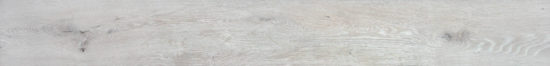 4562-Seashell |  Carpet Barn Carpet One Inc.