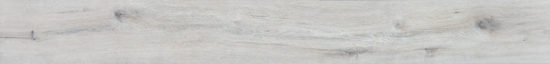 4562-Seashell |  Carpet Barn Carpet One Inc.