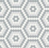 Afternoon Blend Matte Hexagon Pattern Mosaic |  Carpet Barn Carpet One Inc.