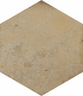 Alma 5.5X6.3 Terra Hexagon |  Carpet Barn Carpet One Inc.