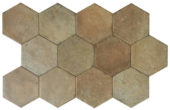 Alma 5.5X6.3 Terra Hexagon |  Carpet Barn Carpet One Inc.