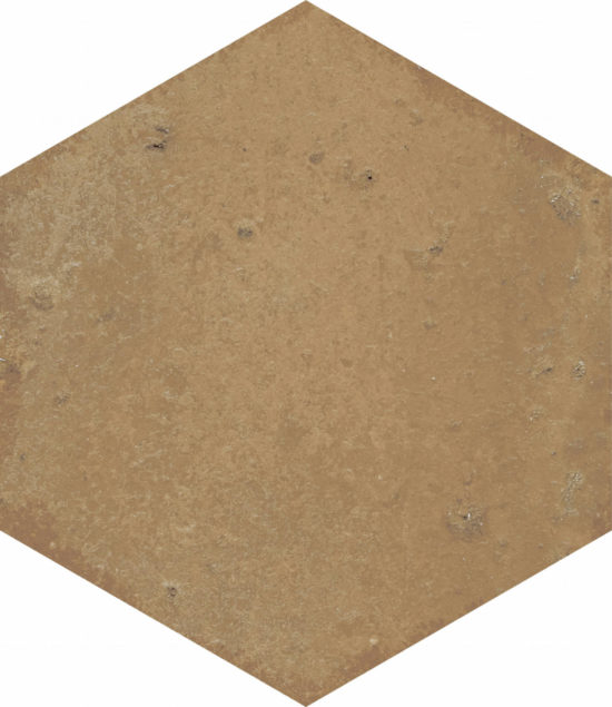 Alma 5.5X6.3 Terra Hexagon |  Carpet Barn Carpet One Inc.
